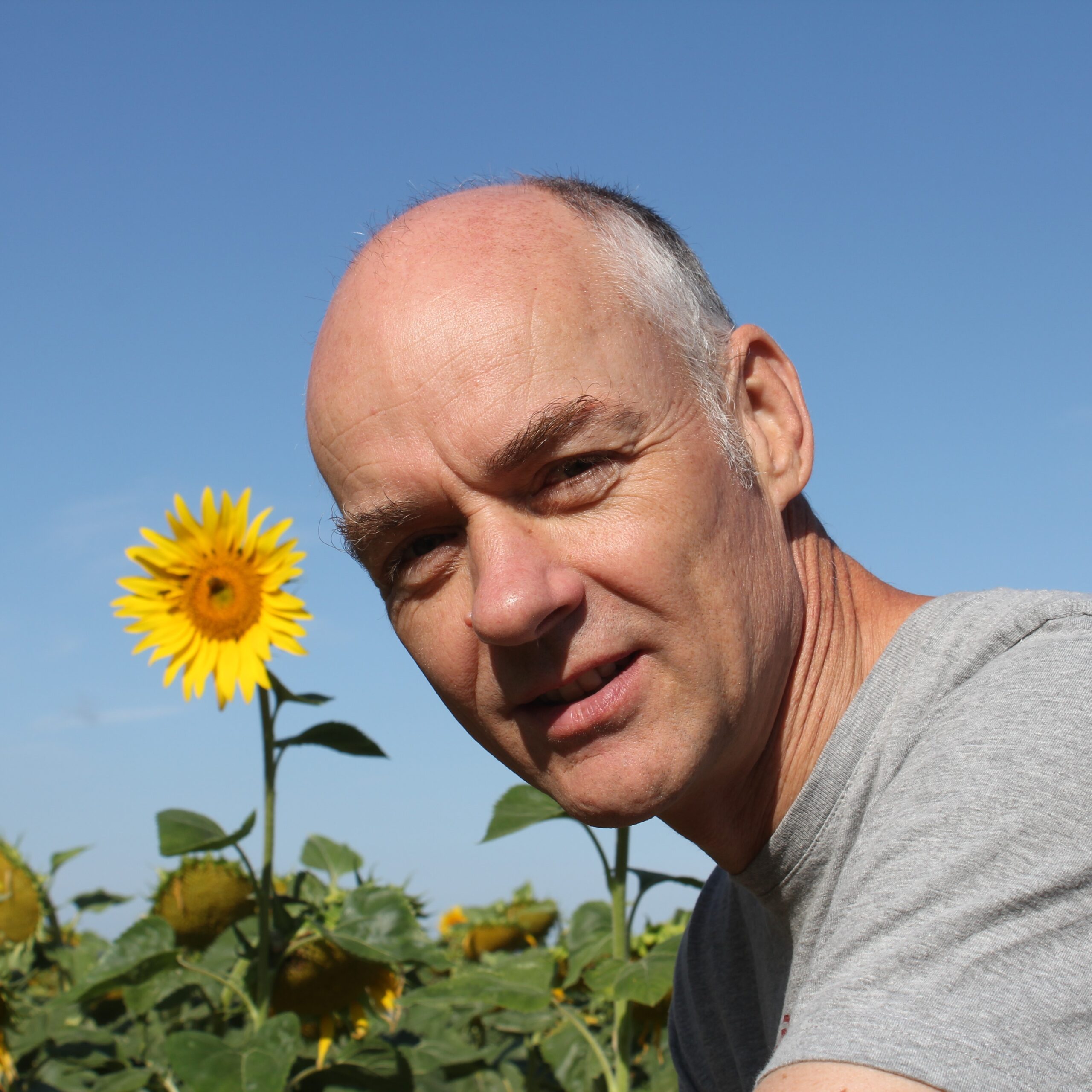 David Kleijn