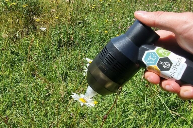 Testing pollen collecting methods in the field, showing the “pollen vacuum”