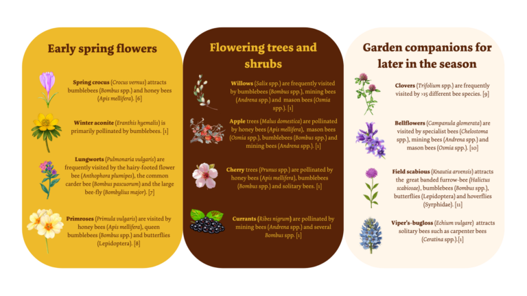 Examples of spring flowering plants for pollinators