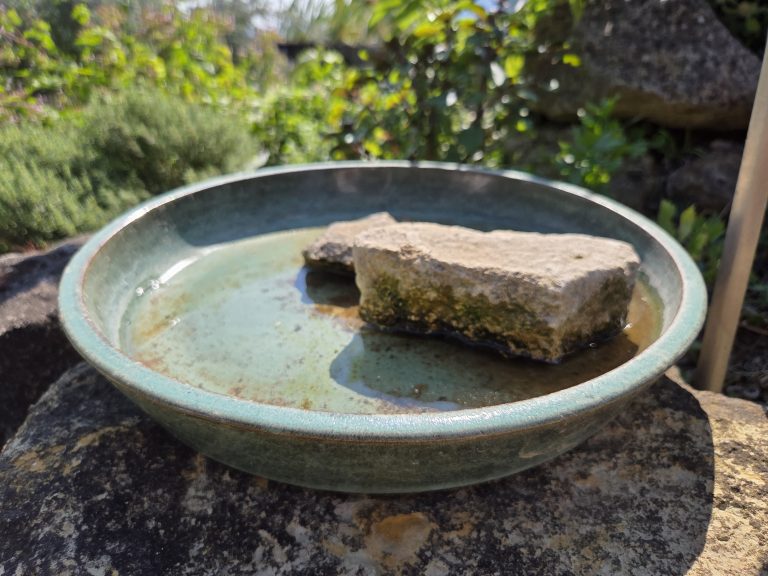 Blue shallow dish with two large stones and water in it.