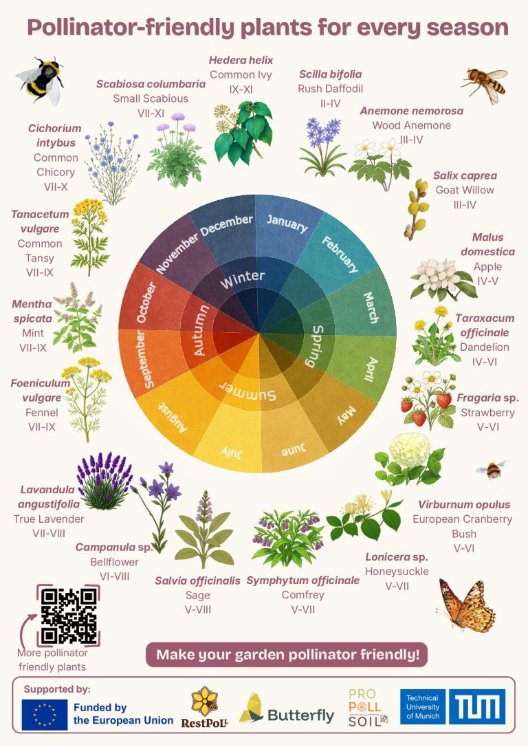 Examples of plant species that flower during different months in the year.