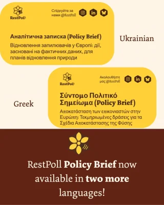 Instagram post from restpoll. This post is in position 1.