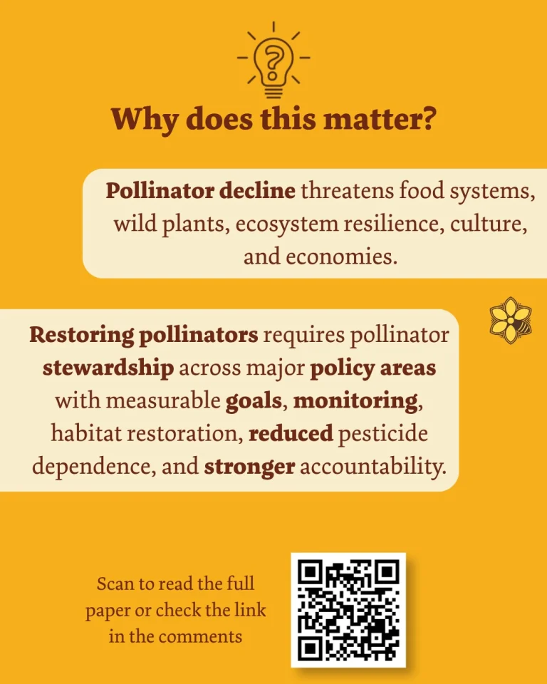 Instagram post from restpoll. This post is in position 2.